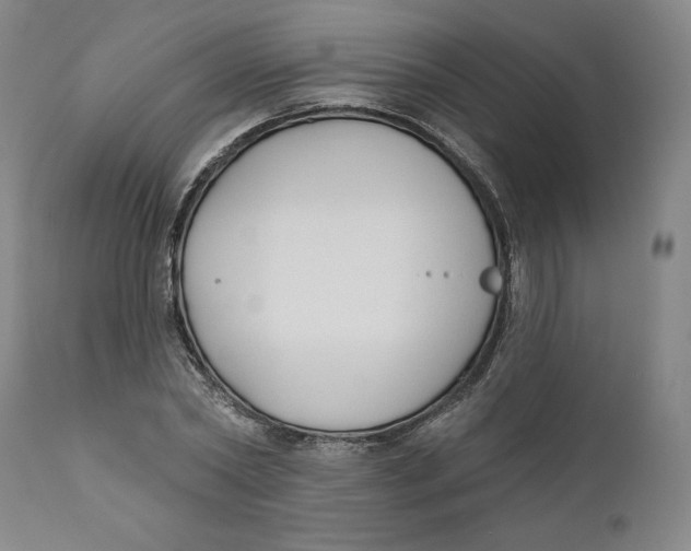 X0000110920782200907091456