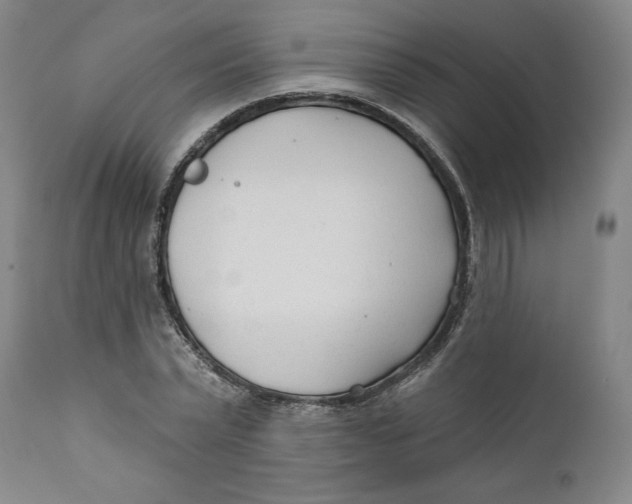 X0000110920783200907091456