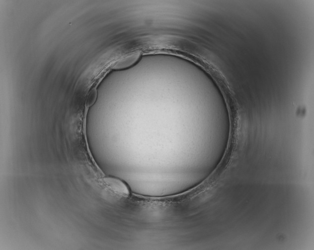 X0000110920785200907091456