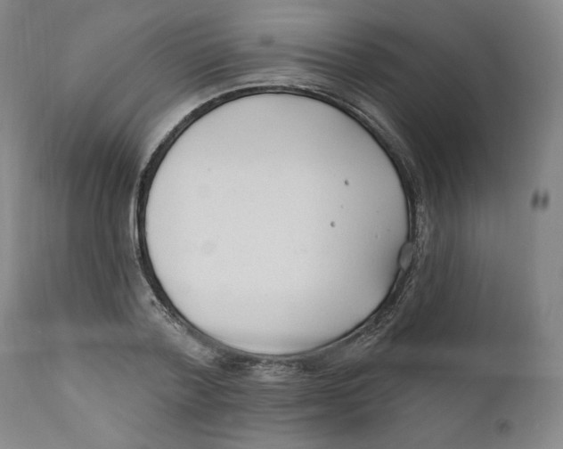 X0000110920788200907091456