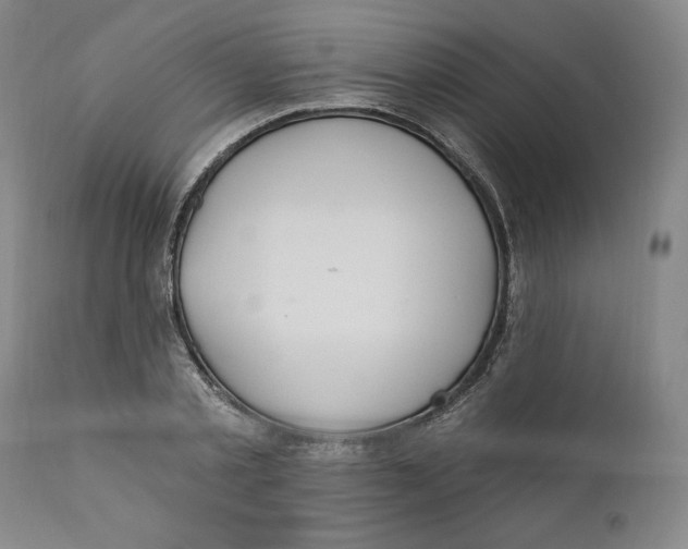 X0000110920789200907091456