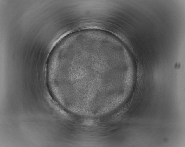 X0000110920790200907091456