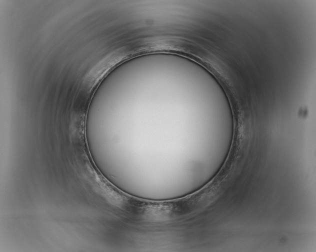 X0000110920793200907091456