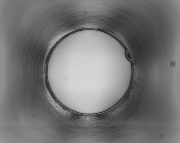X0000110920795200907091456