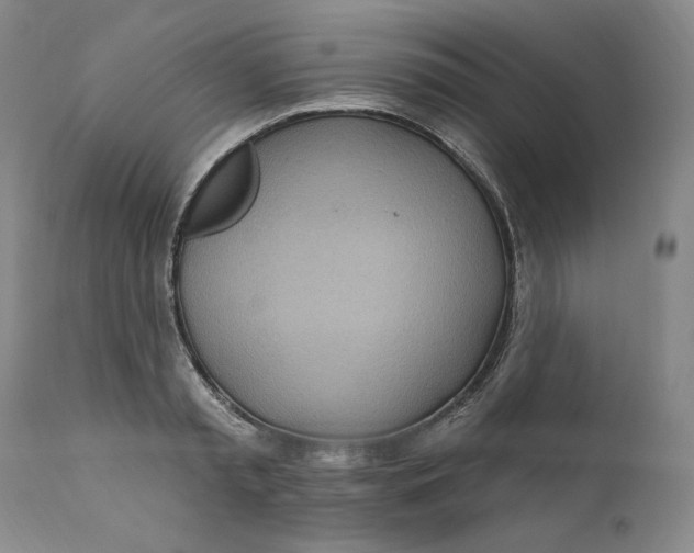 X0000110920797200907091456