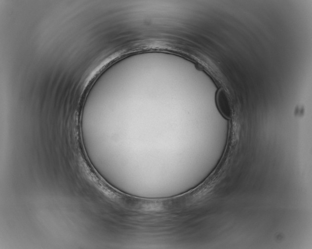X0000110920798200907091456