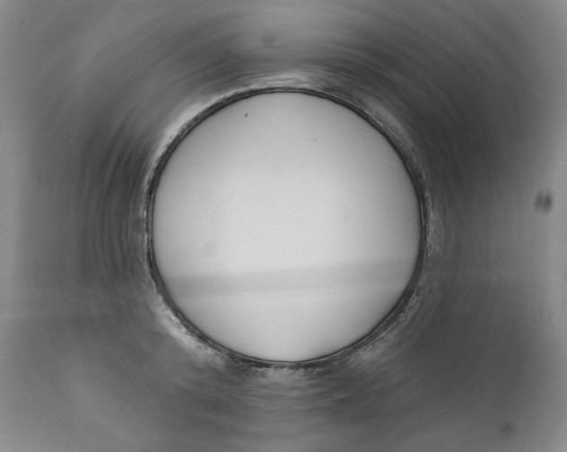 X0000110920800200907091456