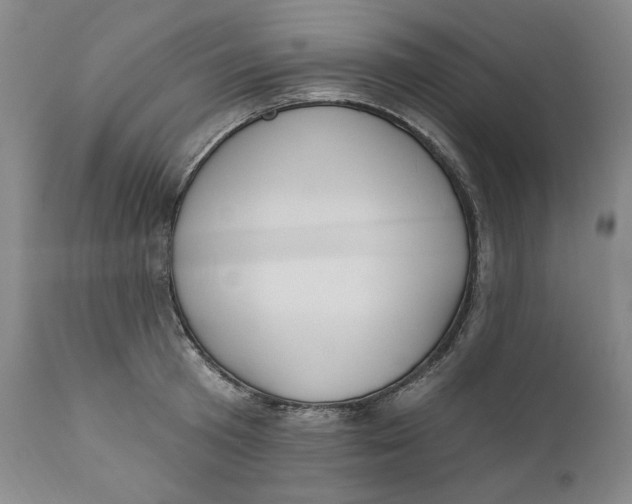 X0000110920801200907091456