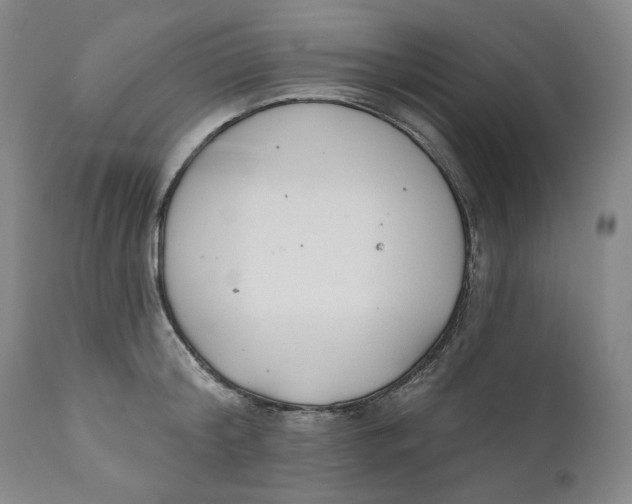 X0000110920804200907091456