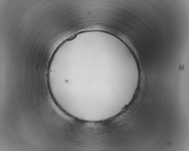 X0000110920805200907091456