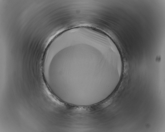 X0000110920806200907091456