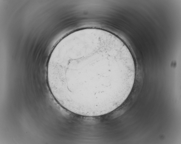 X0000110920807200907091456
