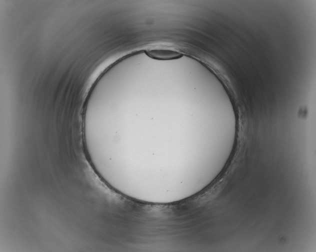 X0000110920808200907091456