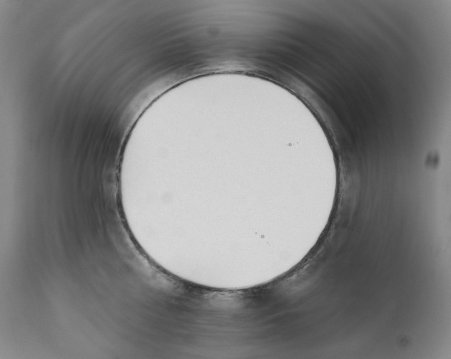 X0000110920810200907091456