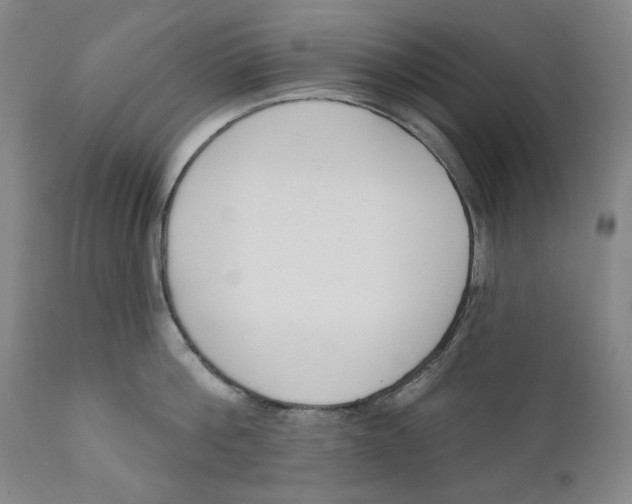 X0000110920812200907091456