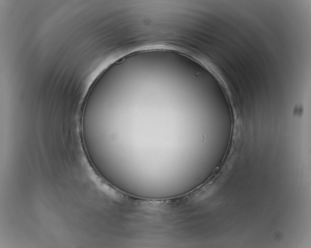 X0000110920813200907091455