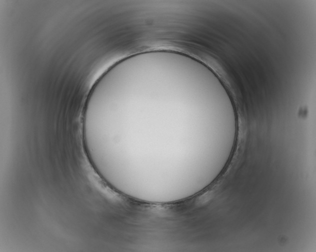 X0000110920814200907091455