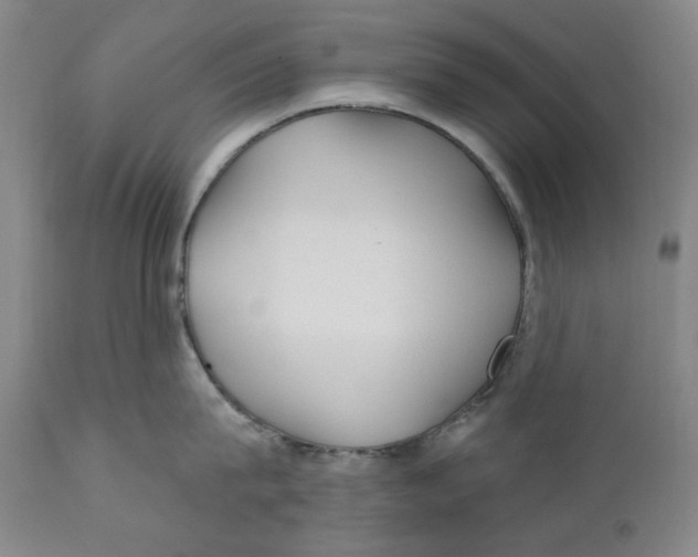 X0000110920815200907091455