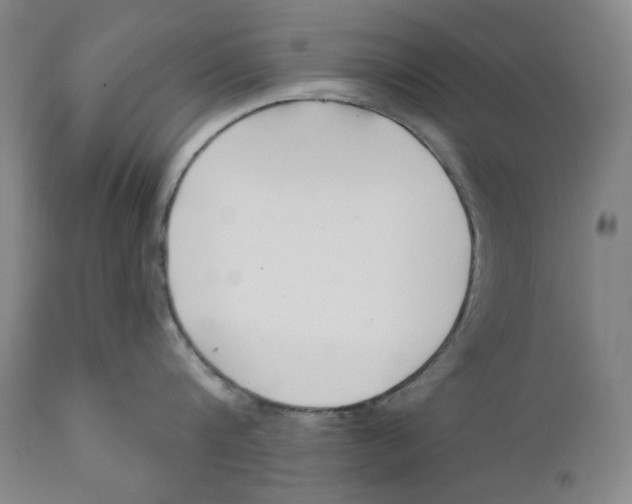 X0000110920816200907091455