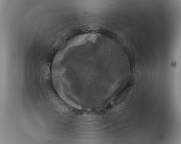 X0000110920818200907091455