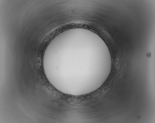 X0000110920821200907091455