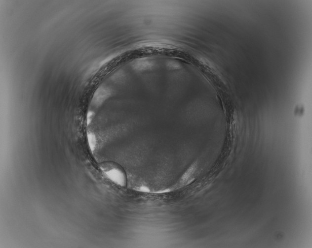 X0000110920822200907091455