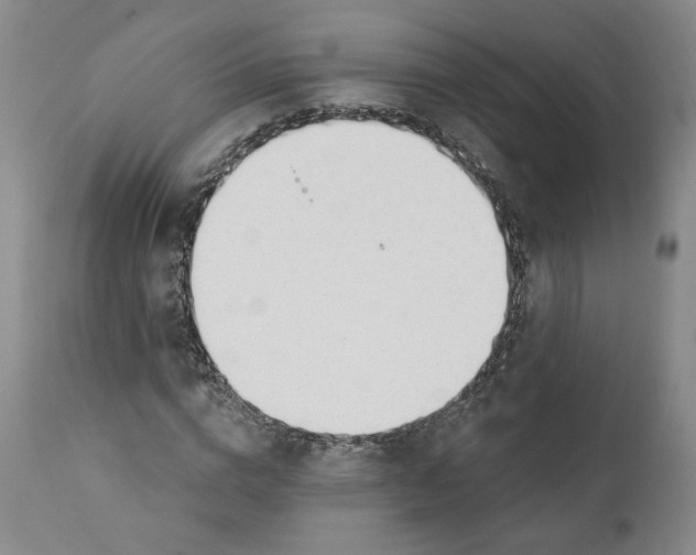 X0000110920824200907091455