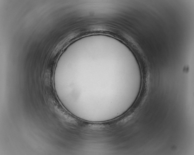 X0000110920825200907091455