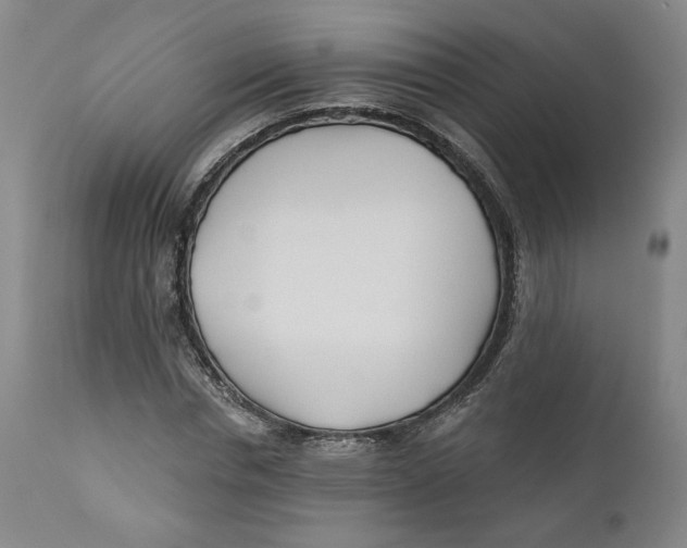 X0000110920826200907091455