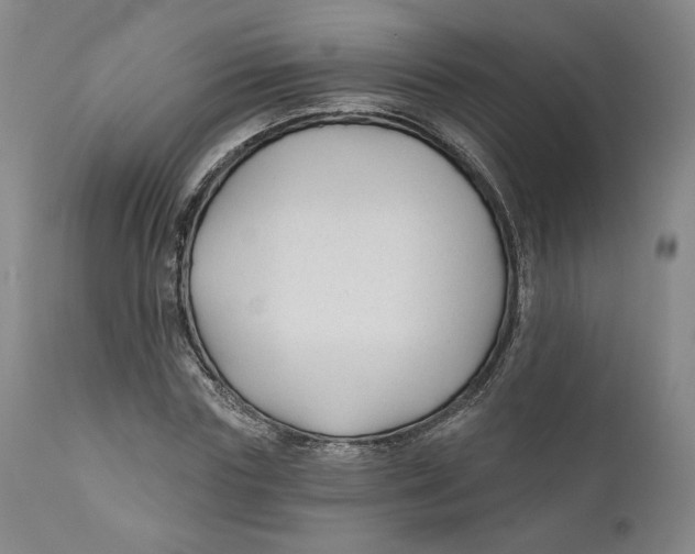 X0000110920827200907091455