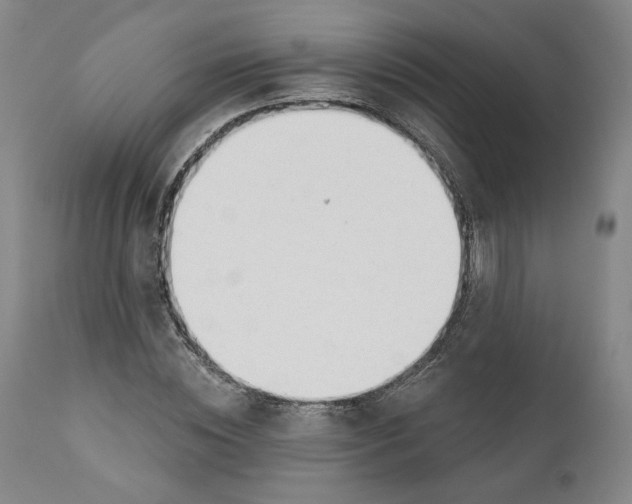X0000110920828200907091455