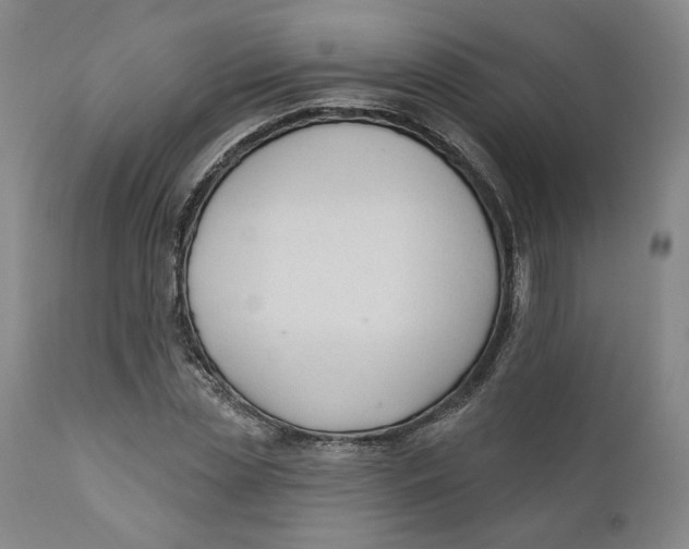 X0000110920829200907091455