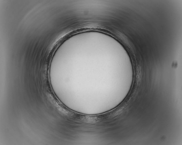 X0000110920831200907091455