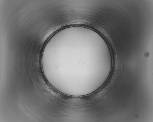 X0000110920834200907091455