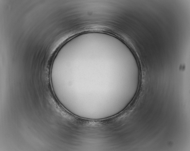 X0000110920835200907091455