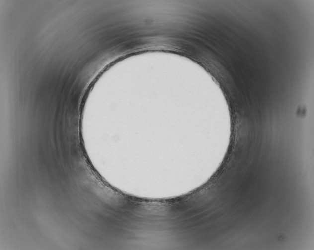 X0000110920836200907091455