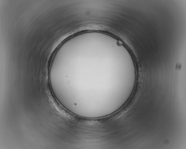 X0000110920837200907091455