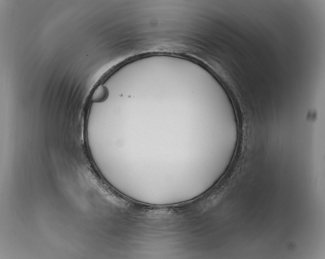 X0000110920838200907091455