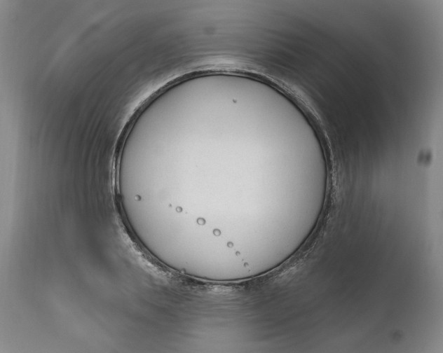 X0000110920839200907091455