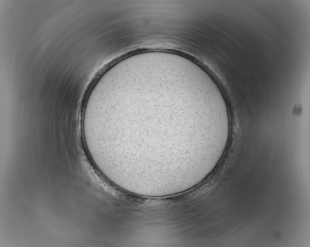 X0000110920840200907091455