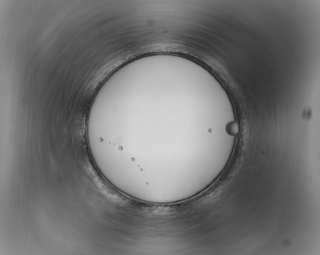X0000110920841200907091455