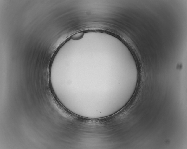 X0000110920842200907091455