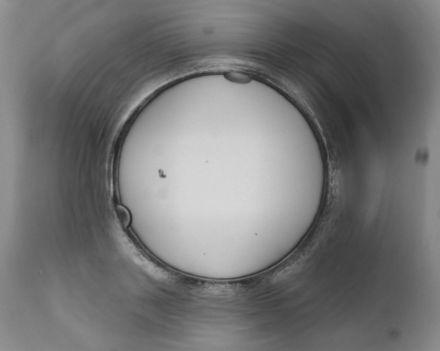 X0000110920843200907091455