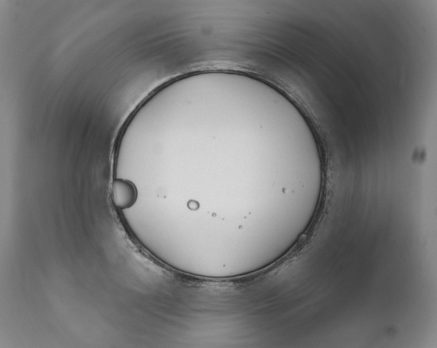 X0000110920844200907091455