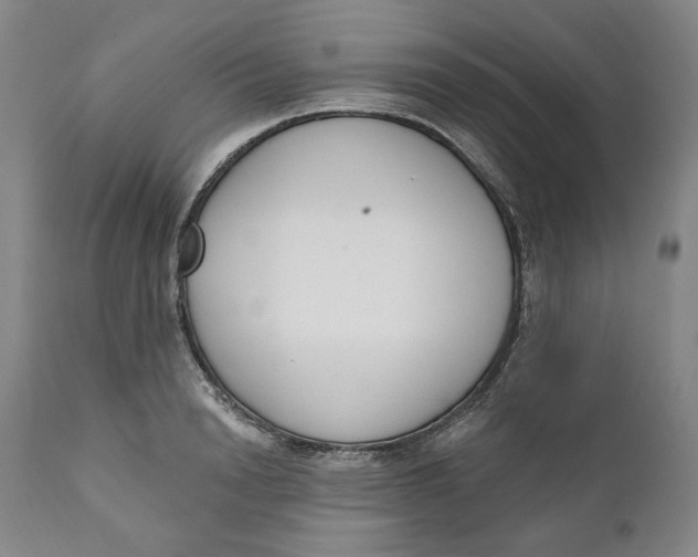 X0000110920846200907091455