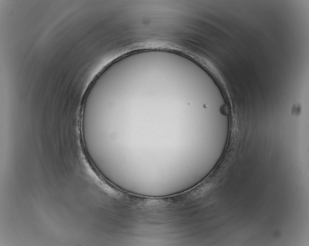 X0000110920847200907091455