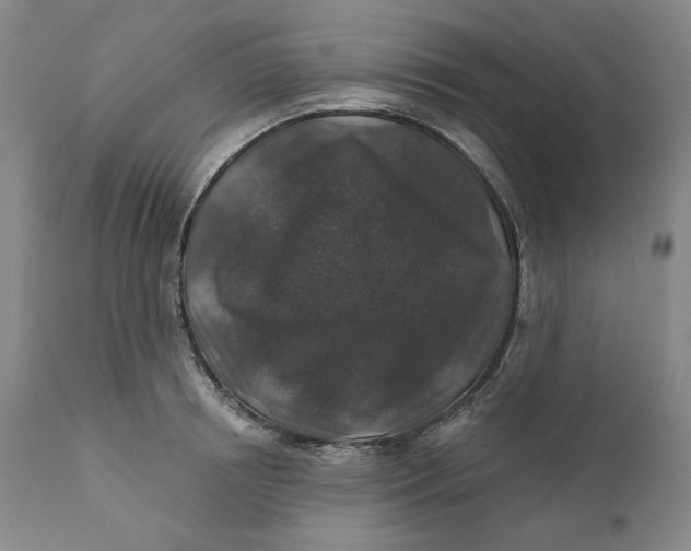 X0000110920850200907091455