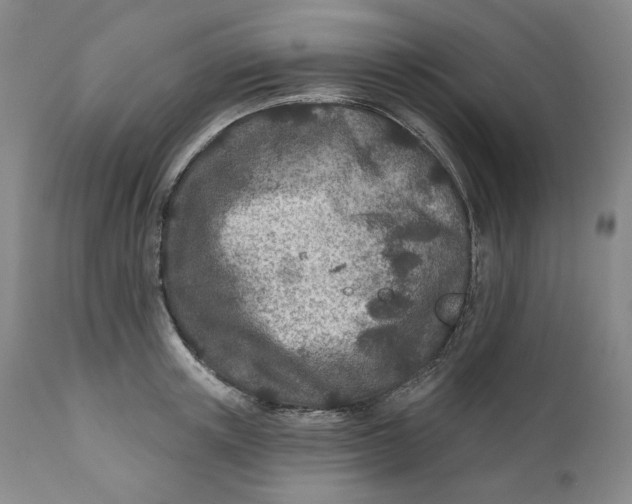 X0000110920851200907091455