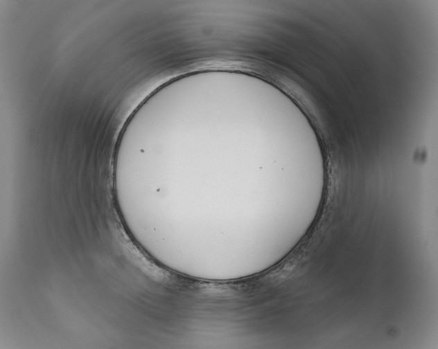 X0000110920852200907091455