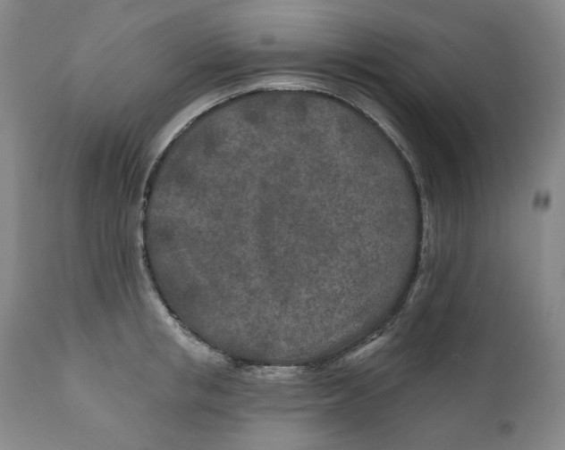 X0000110920853200907091455